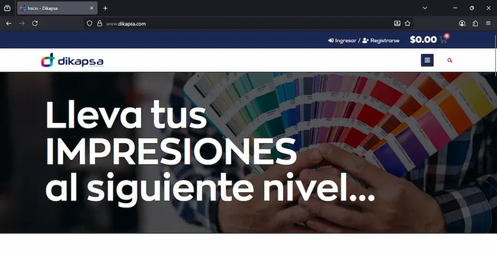 Diseño web elaborado por Creative Web para Dikapsa